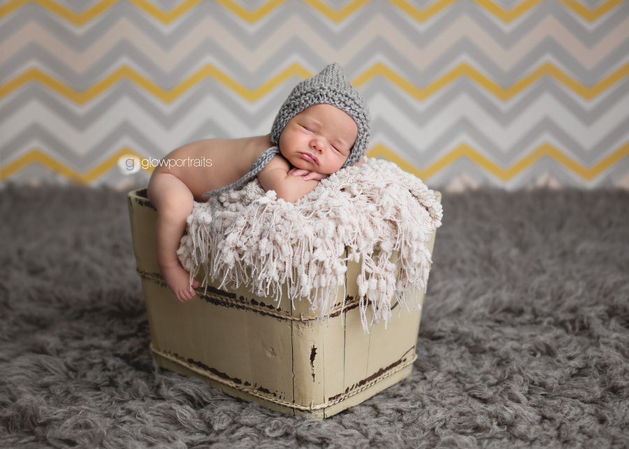 fort st john newborn photographer baby in bucket, chevron background