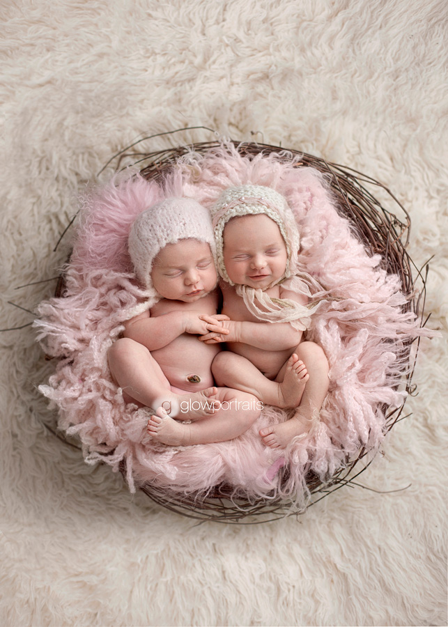 newborn twins in nest