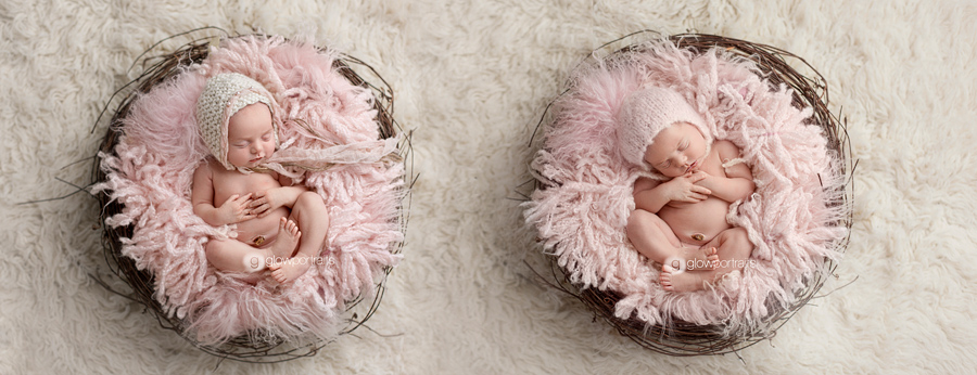 twin newborn babies in nest