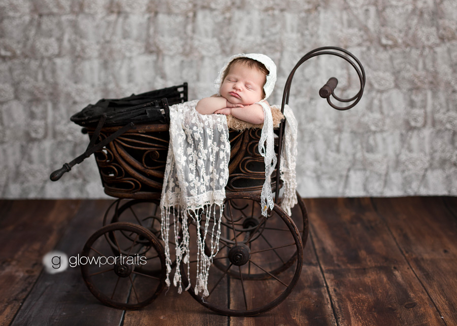 british columbia newborn photographer baby in buggy