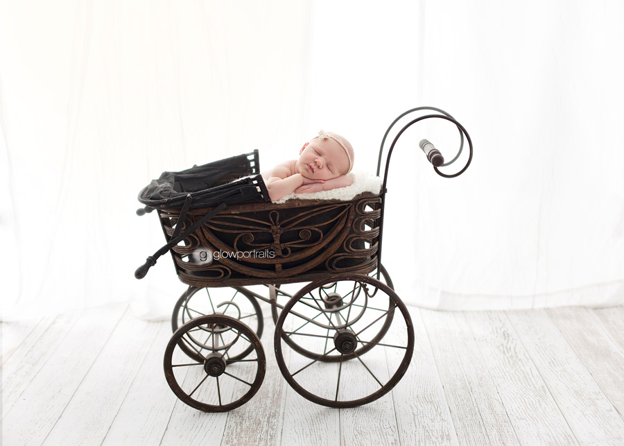 british columbia newborn photographer baby in stroller