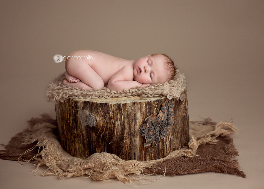 dawson creek newborn photographer glow portraits, newborn lying on stump