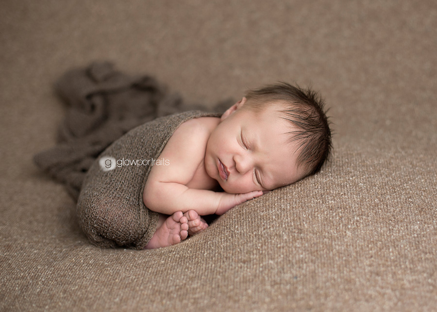 taco posed wrapped up newborn