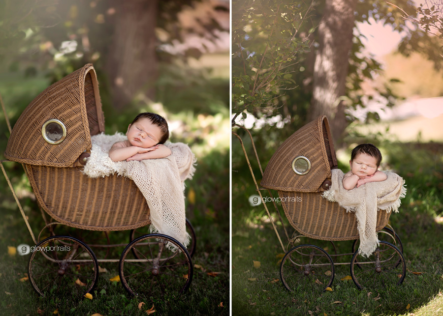 fort st john newborn photographer newborn in buggy outside