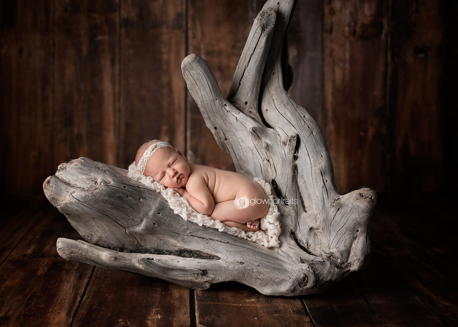 newborn on driftwood