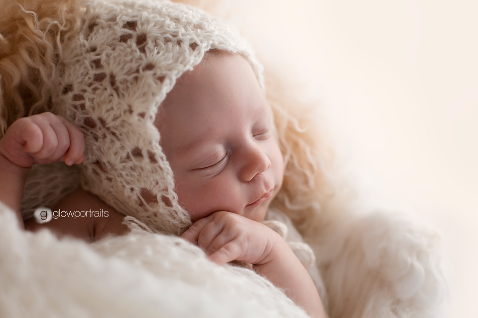bc newborn photographer