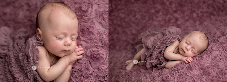 glow portraits newborn photographer
