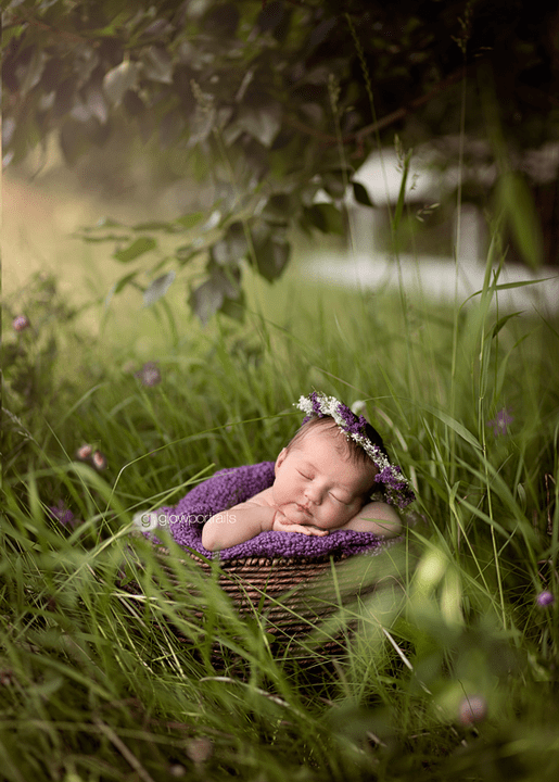 fort_st_john_bc_newborn_photographer03