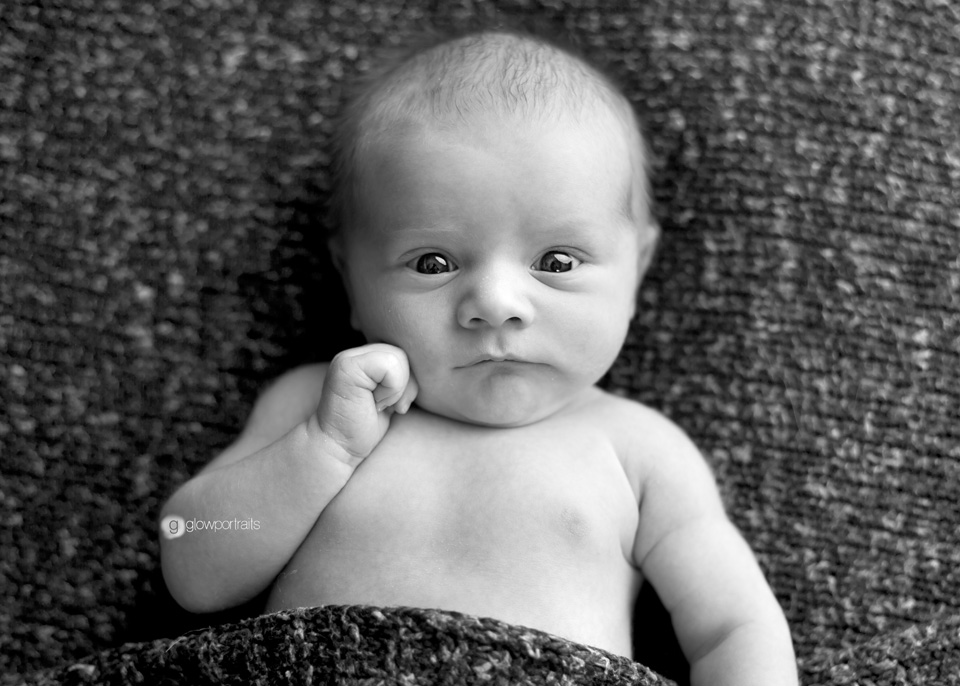 dawson creek newborn photographer