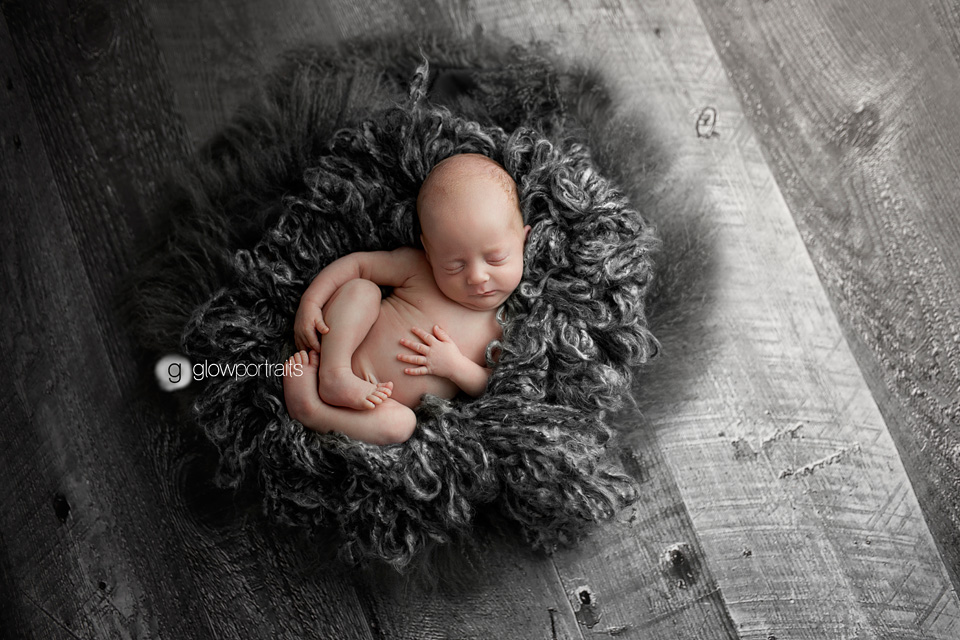 fort st john newborn photographer 07