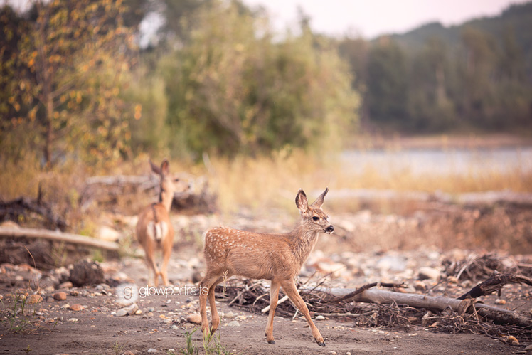 fort_st_john_bc_baby_photographer_01