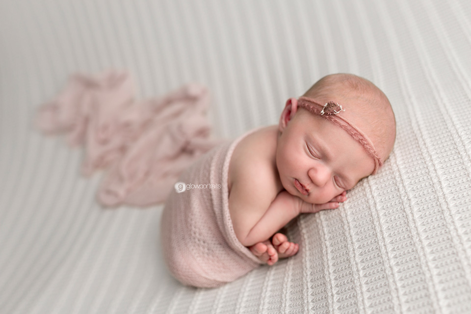 glow portraits newborn texas