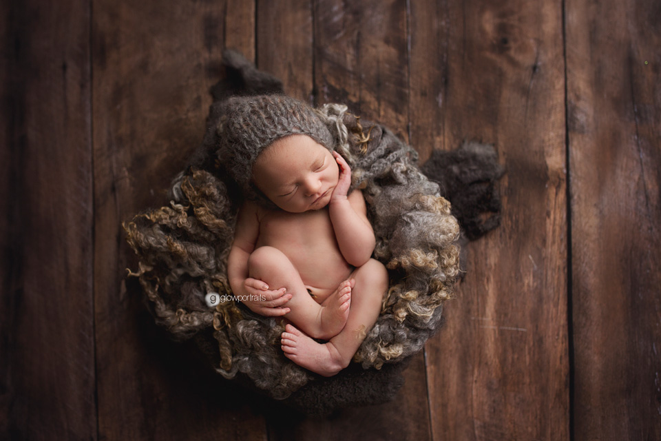 glow portraits newborn workshop