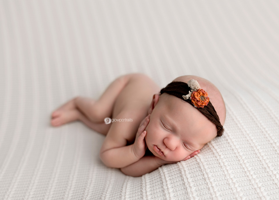 glow portraits newborn workshops