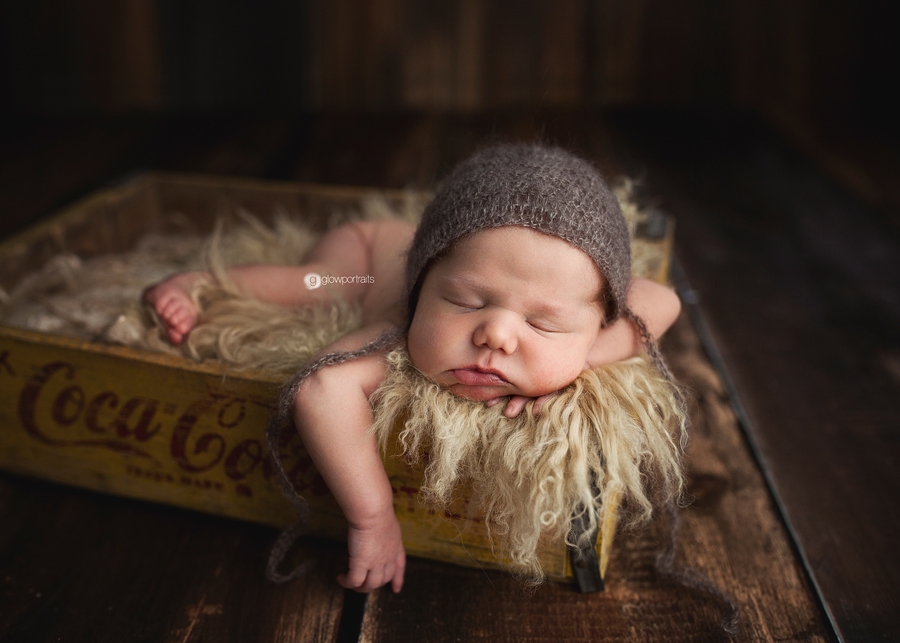 grande prairie newborn photographer