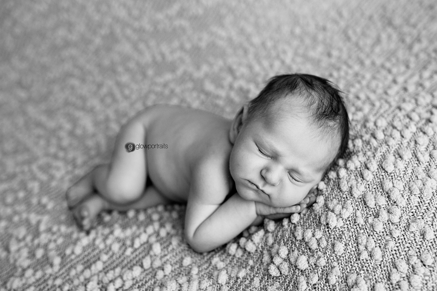 grande prairie glow portraits