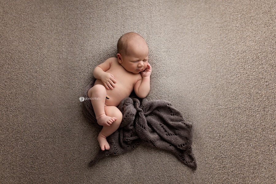 glow portraits newborn photography