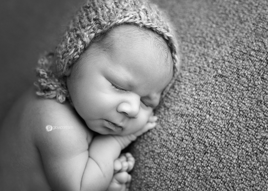 glow portraits newborn
