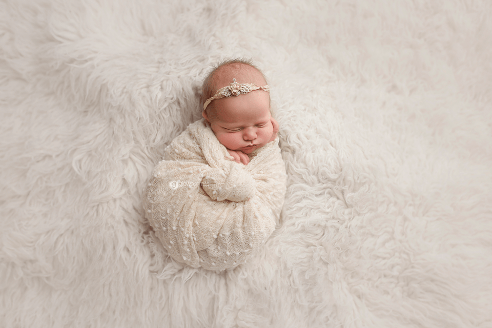 glow portraits newborn photography