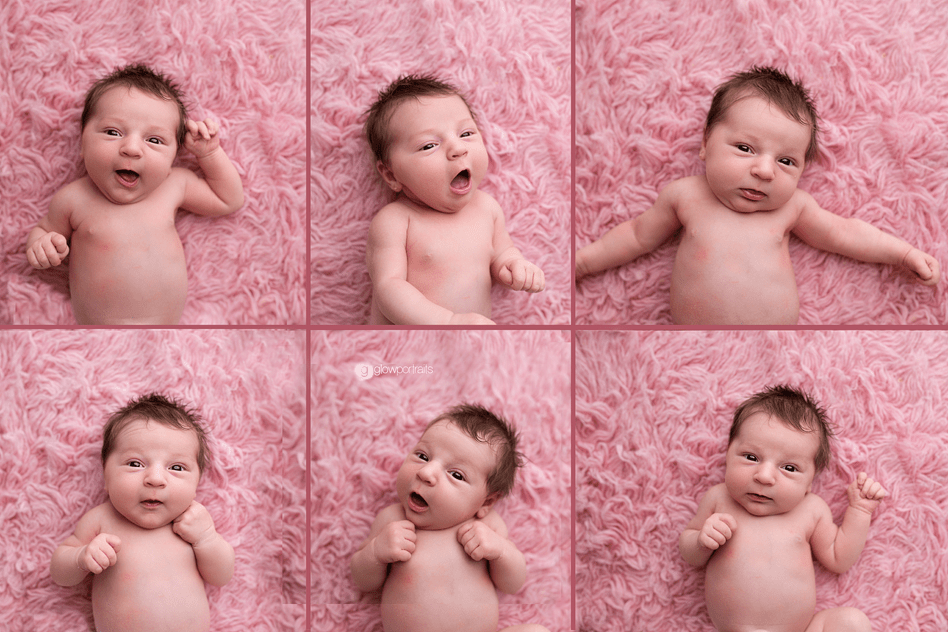 glow portraits newborn photographer grande prairie alberta