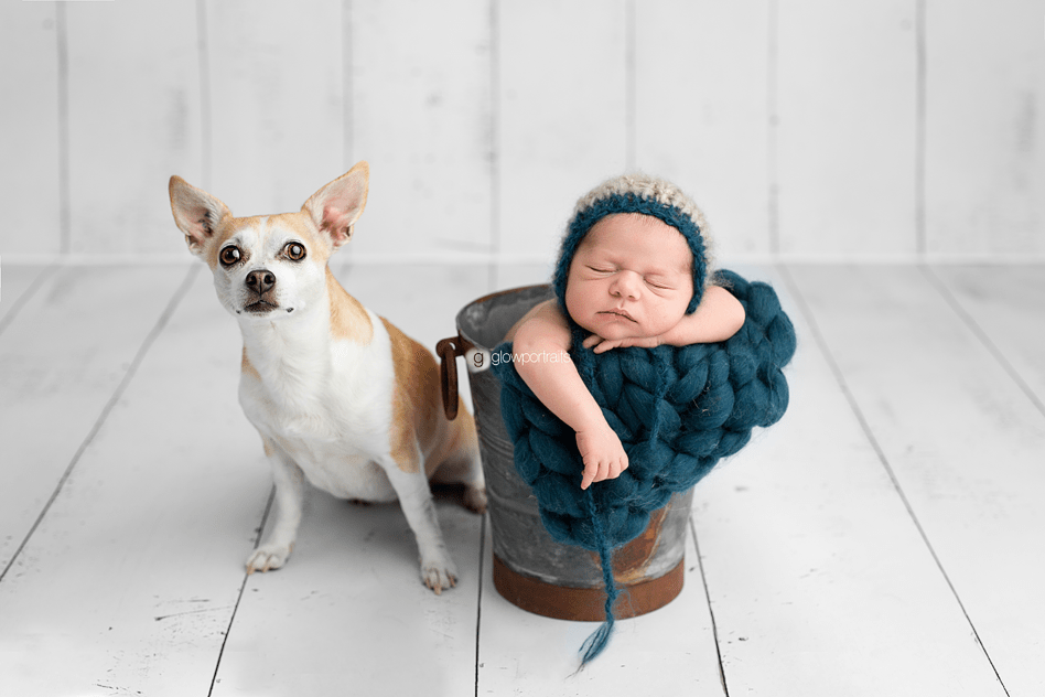 fort st john newborn photographer